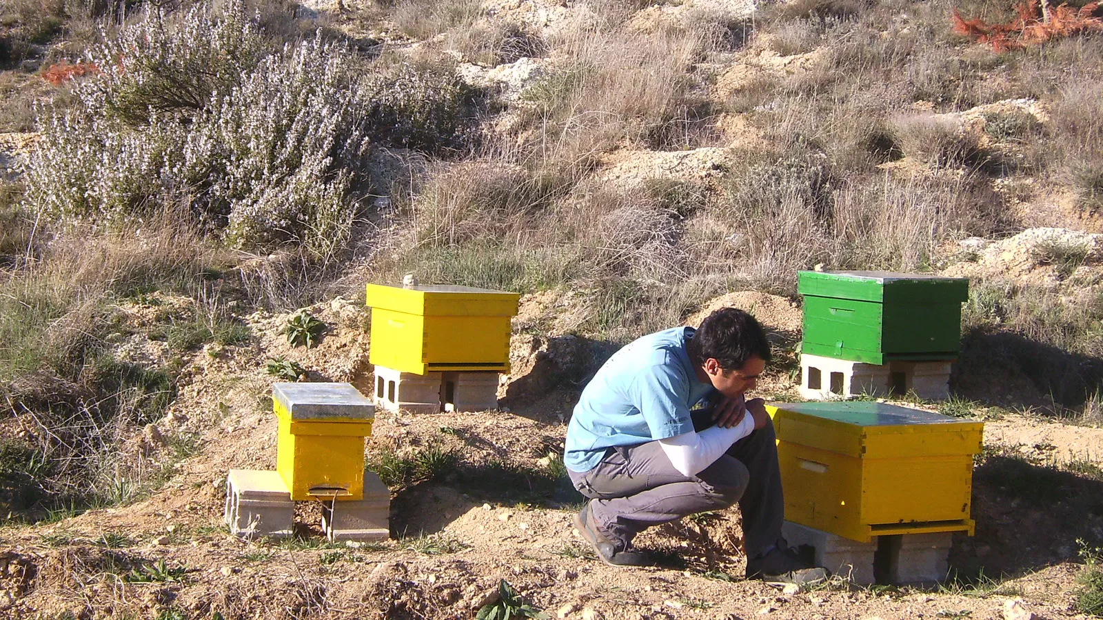 sobre-nosotros-miel-gaia